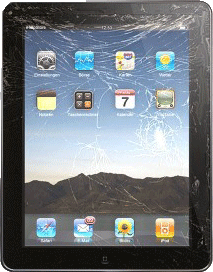iPad LCD Display defekt